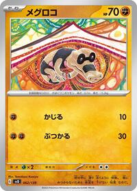 Sandile #062/139