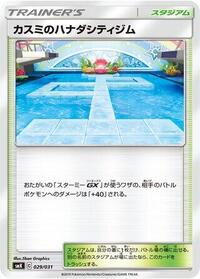 Misty's Cerulean City Gym #029/031