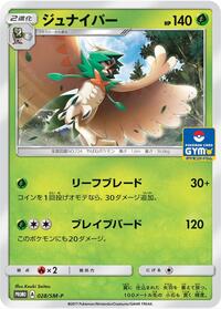 Decidueye - 028/SM-P #028/SM-P