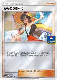 Sightseer - 308/SM-P #308/SM-P