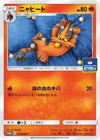 Torracat - 313/SM-P #313/SM-P