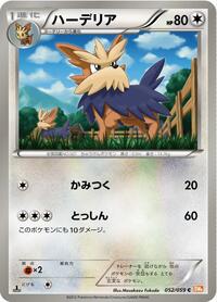 Herdier #052/059