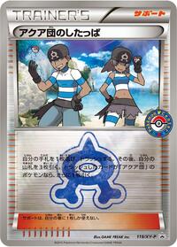 Team Aqua Grunt - 119/XY-P #119/XY-P