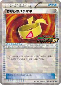 Muscle Band - 125/XY-P #125/XY-P
