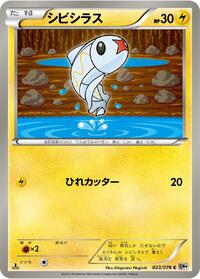 Tynamo #023/076