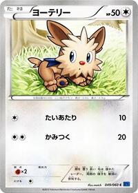 Lillipup #049/060
