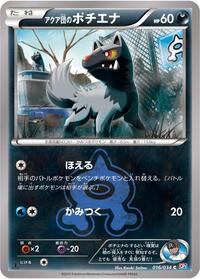 Team Aqua's Poochyena #016/034