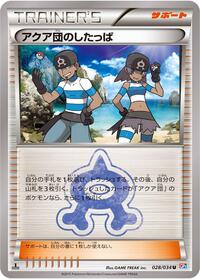 Team Aqua Grunt #028/034