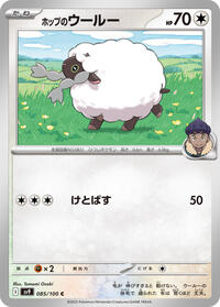 Hop's Wooloo #085/100