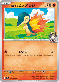 Ethan's Cyndaquil #015/063