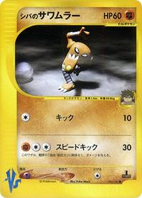 Bruno's Hitmonlee #082/141