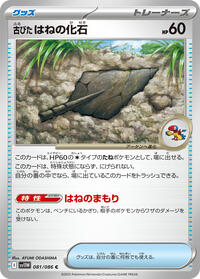 Antique Plume Fossil #081/086
