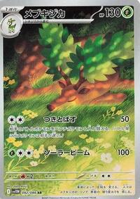 Sawsbuck - 092/086 #092/086