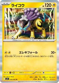 Raikou #030/063