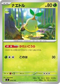 Turtwig #034/742