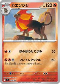 Pyroar (Mirror Holo) #128/742