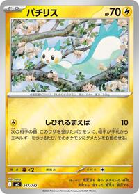 Pachirisu #247/742