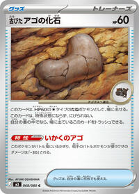 Antique Jaw Fossil #068/080
