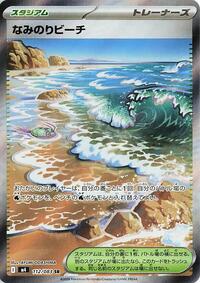 Surfing Beach #112/083