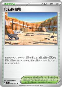 Fossil Excavation Site #079/081