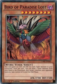 Bird of Paradise Lost #CORE-EN040