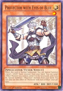 Protector with Eyes of Blue #SHVI-EN019