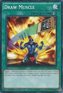 Draw Muscle #YS16-EN024