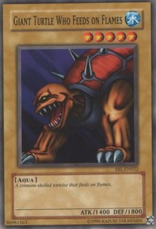 Giant Turtle Who Feeds on Flames #SRL-022