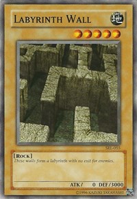 Labyrinth Wall #SRL-055