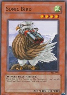Sonic Bird #SRL-093