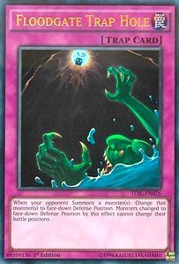 Floodgate Trap Hole #TDIL-EN076