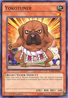 Yokotuner #RATE-EN031