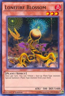 Lonefire Blossom #FUEN-EN046