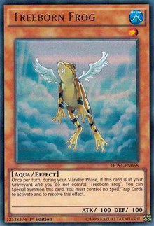 Treeborn Frog #DUSA-EN058
