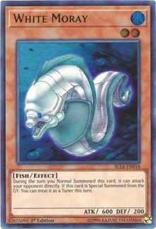 White Moray #BLLR-EN018