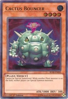 Cactus Bouncer #BLLR-EN049