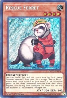 Rescue Ferret #COTD-EN029