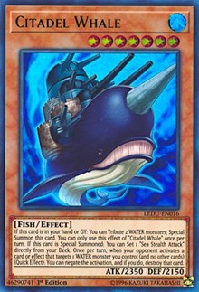 Citadel Whale #LEDU-EN016