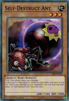 Self-Destruct Ant #CIBR-EN035