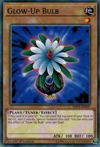 Glow-Up Bulb #SDCL-EN021