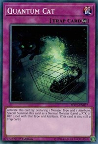 Quantum Cat #SDCL-EN037