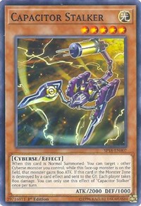 Capacitor Stalker #SP18-EN007
