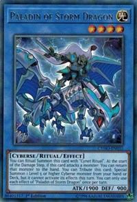 Paladin of Storm Dragon #CYHO-EN031