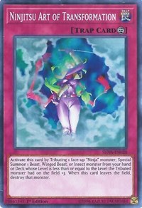 Ninjitsu Art of Transformation #SHVA-EN028