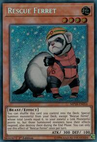Rescue Ferret #MP18-EN054