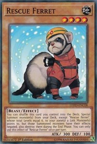 Rescue Ferret #LEHD-ENC08
