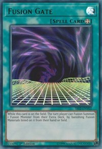 Fusion Gate #SS02-ENV02