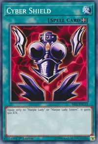 Cyber Shield #SS02-ENC12