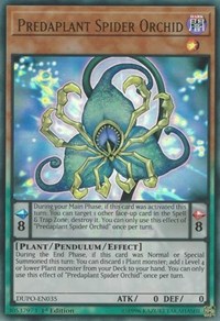 Predaplant Spider Orchid #DUPO-EN035