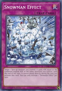 Snowman Effect #DANE-EN079